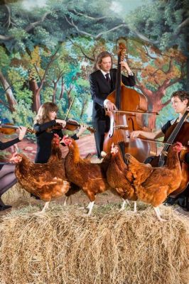 do chickens prefer classical music over pop songs