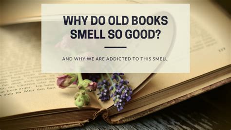 what do books smell like? the scent of words and wisdom